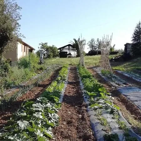 Podere Baloo *