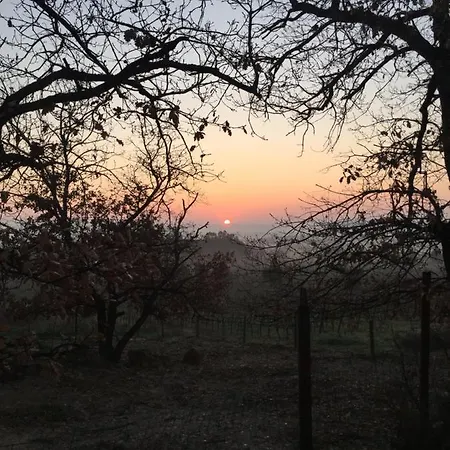 Nyaraló Podere Baloo