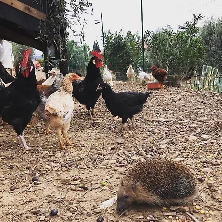 Podere Baloo Nyaraló Suvereto