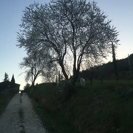 Podere Baloo Nyaraló