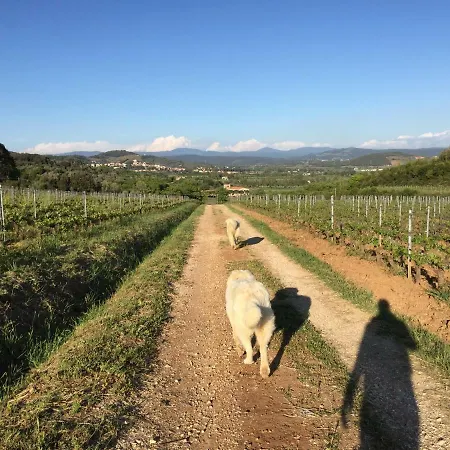 Podere Baloo Nyaraló